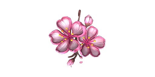 Charm | Sakura