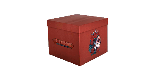 Event Case | Dia De Muertos