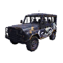 Cars | Golden Crane