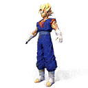 Clothes | Super Saiyan Vegito Character