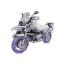 Motocycle | Flora Delight
