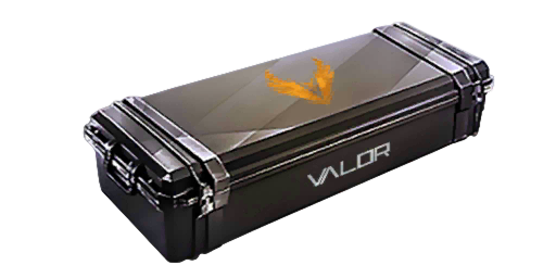 Case | Valor